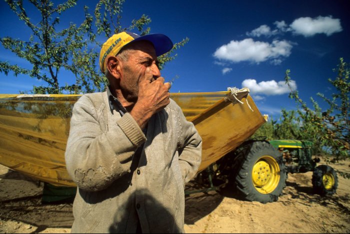 Vida rural en Cataluña